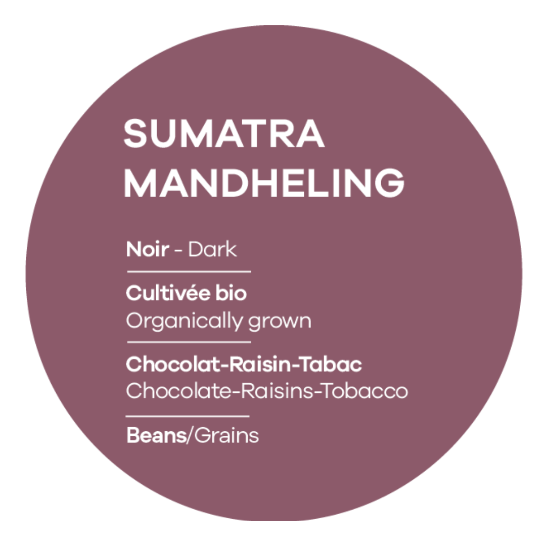 Sumatra Mandheling